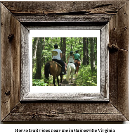 horse trail rides near me in Gainesville, Virginia